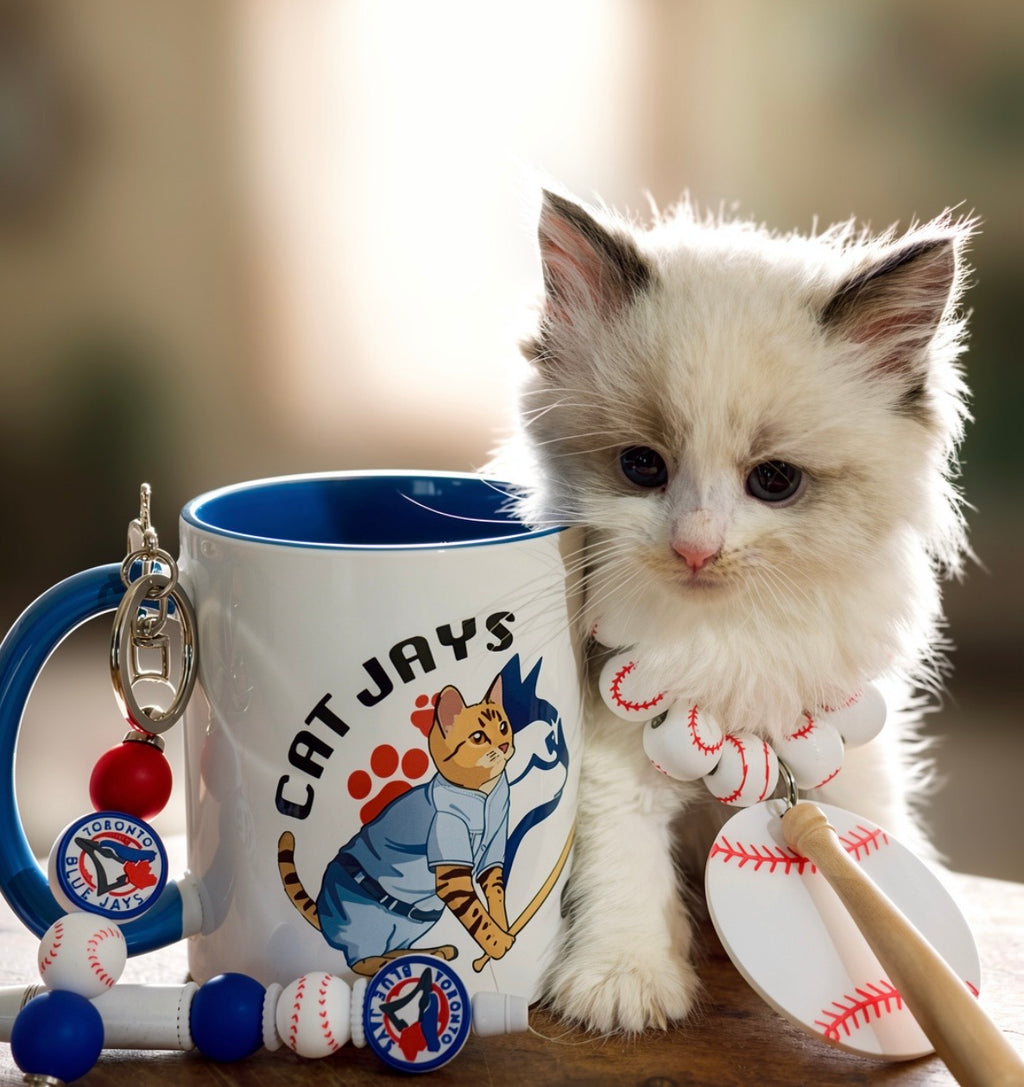 Baseball & Cats Gift Box