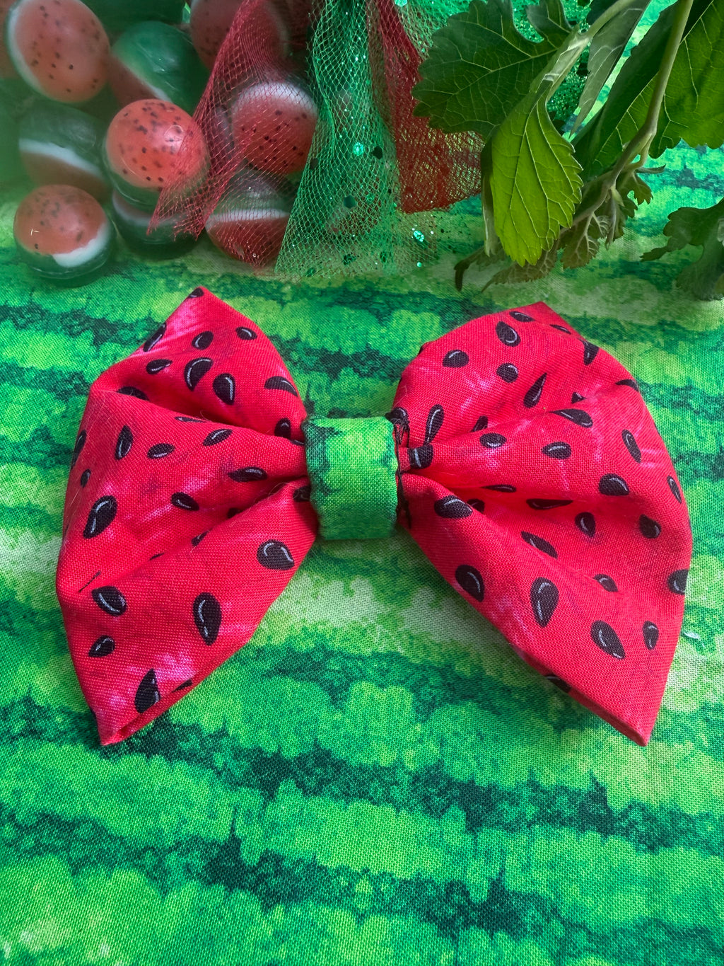 Watermelon Bundle – For You & Your Pet