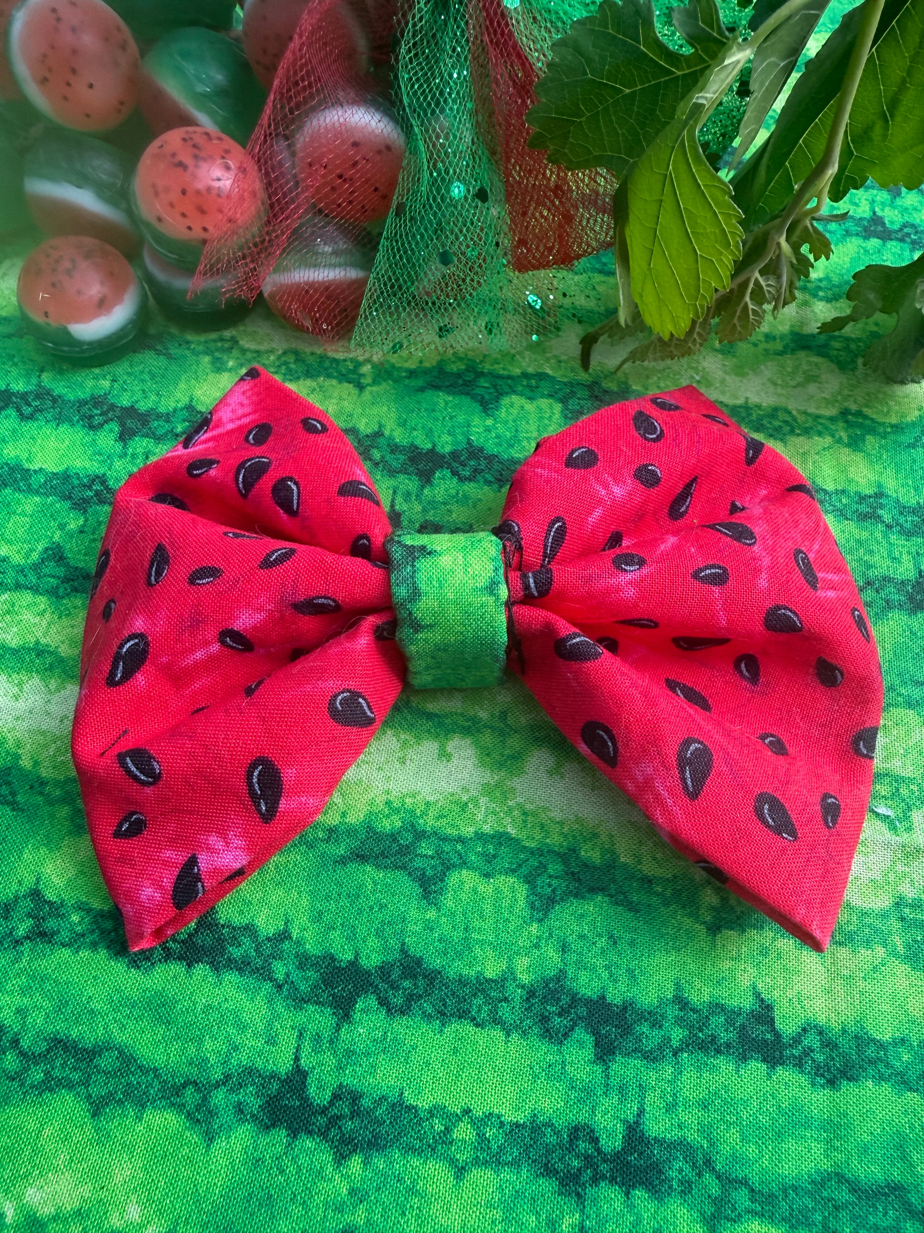 Watermelon Pet Bow 🎀🍉