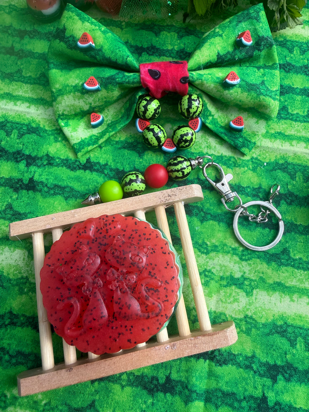 🍉 Watermelon Trio – For You & Your Pet 🐾