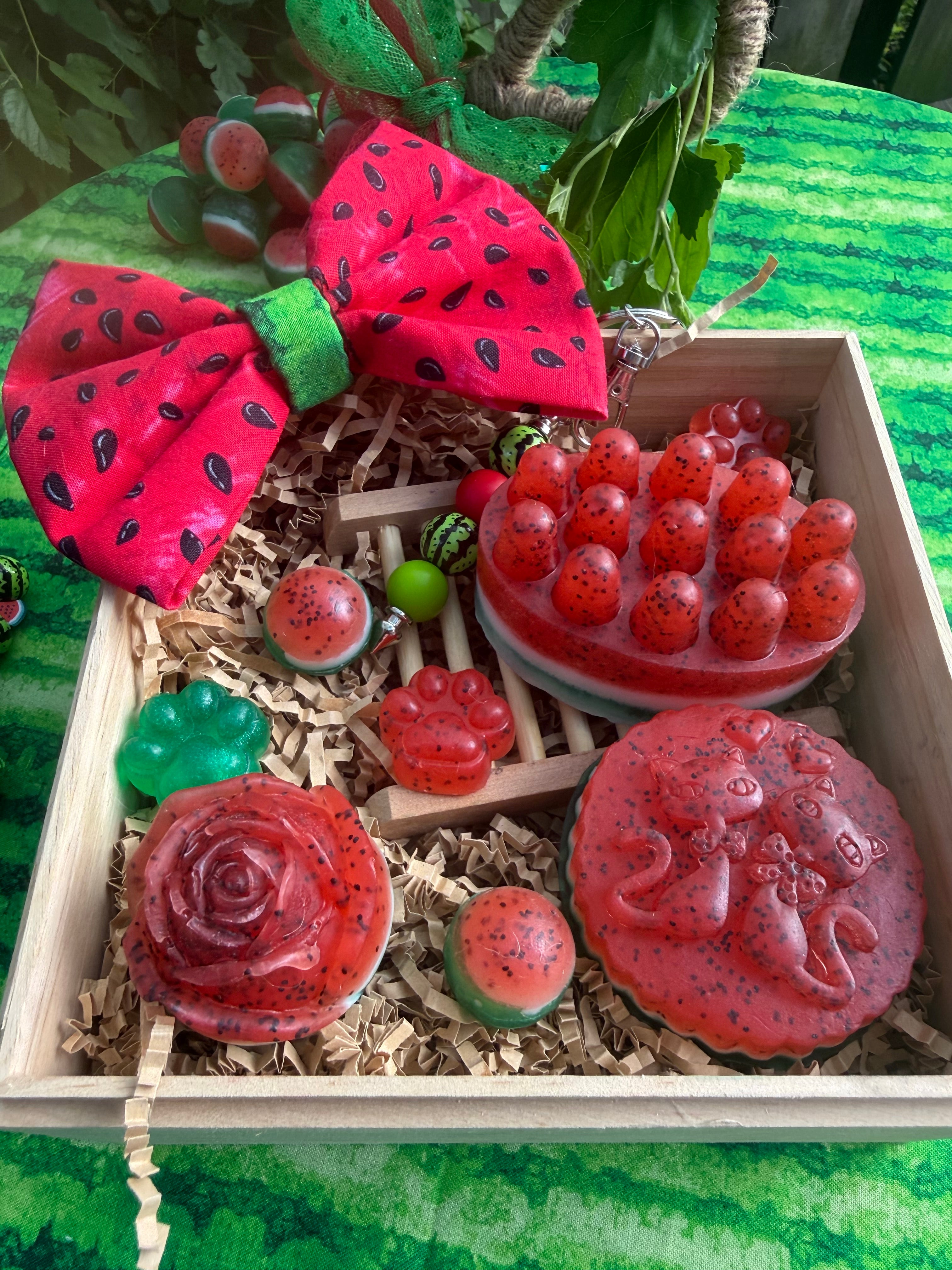 Watermelon Bundle – For You & Your Pet