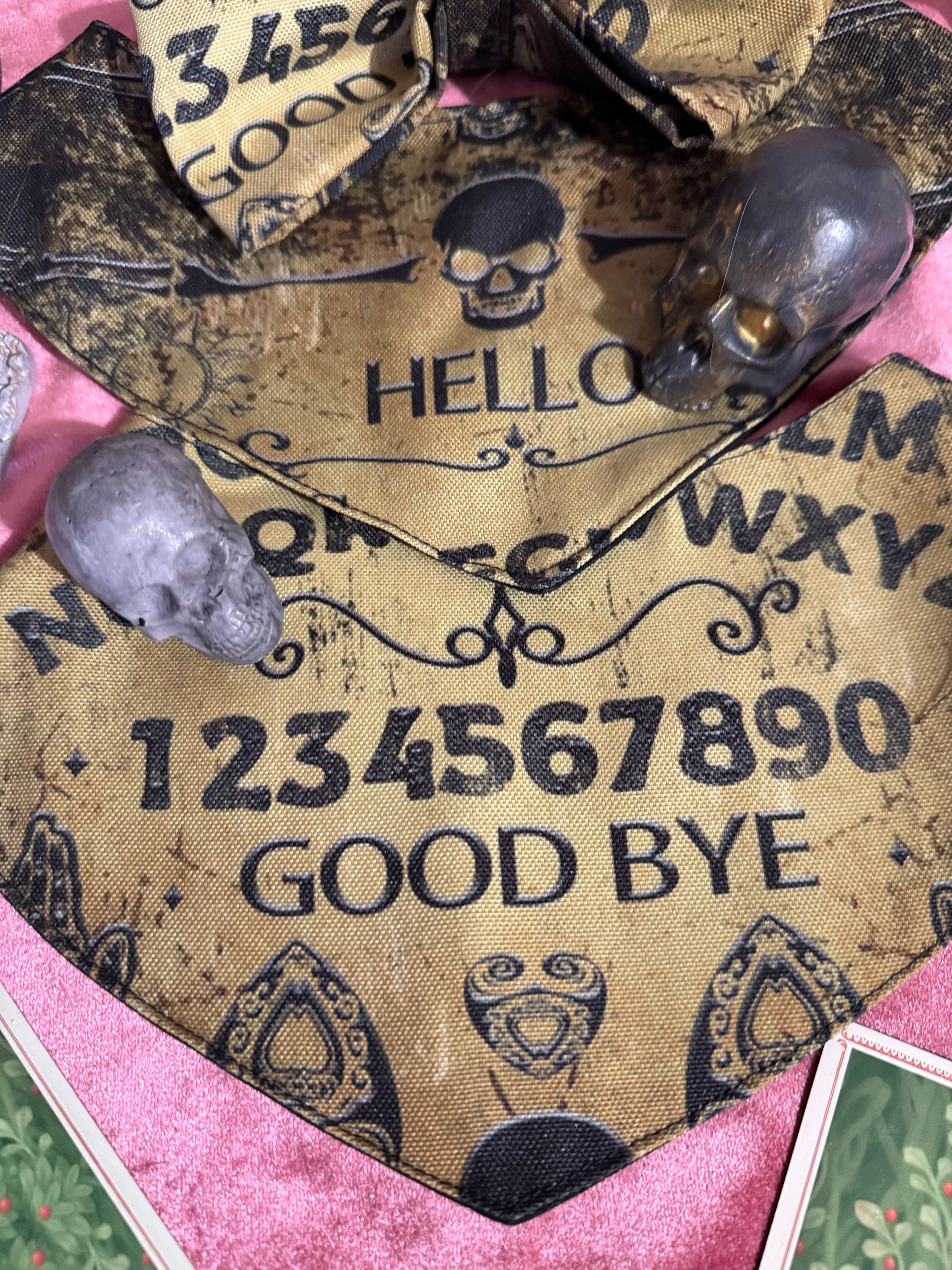 Echoes of the Unknown- Ouija Bandana for pet