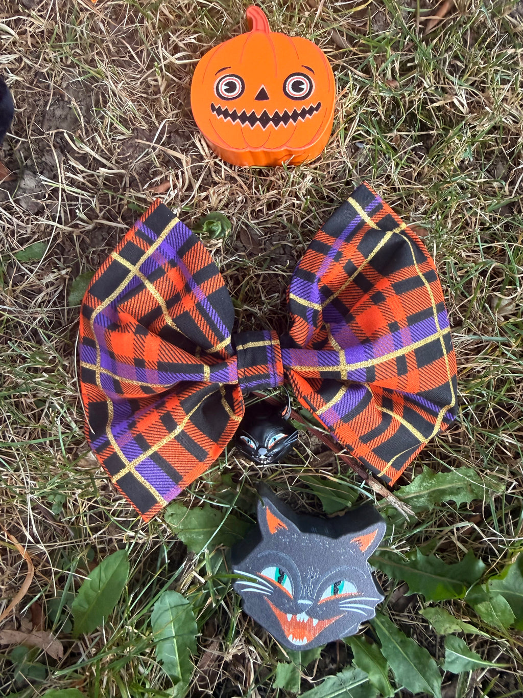 Spooky Season Cat Bows 🎃