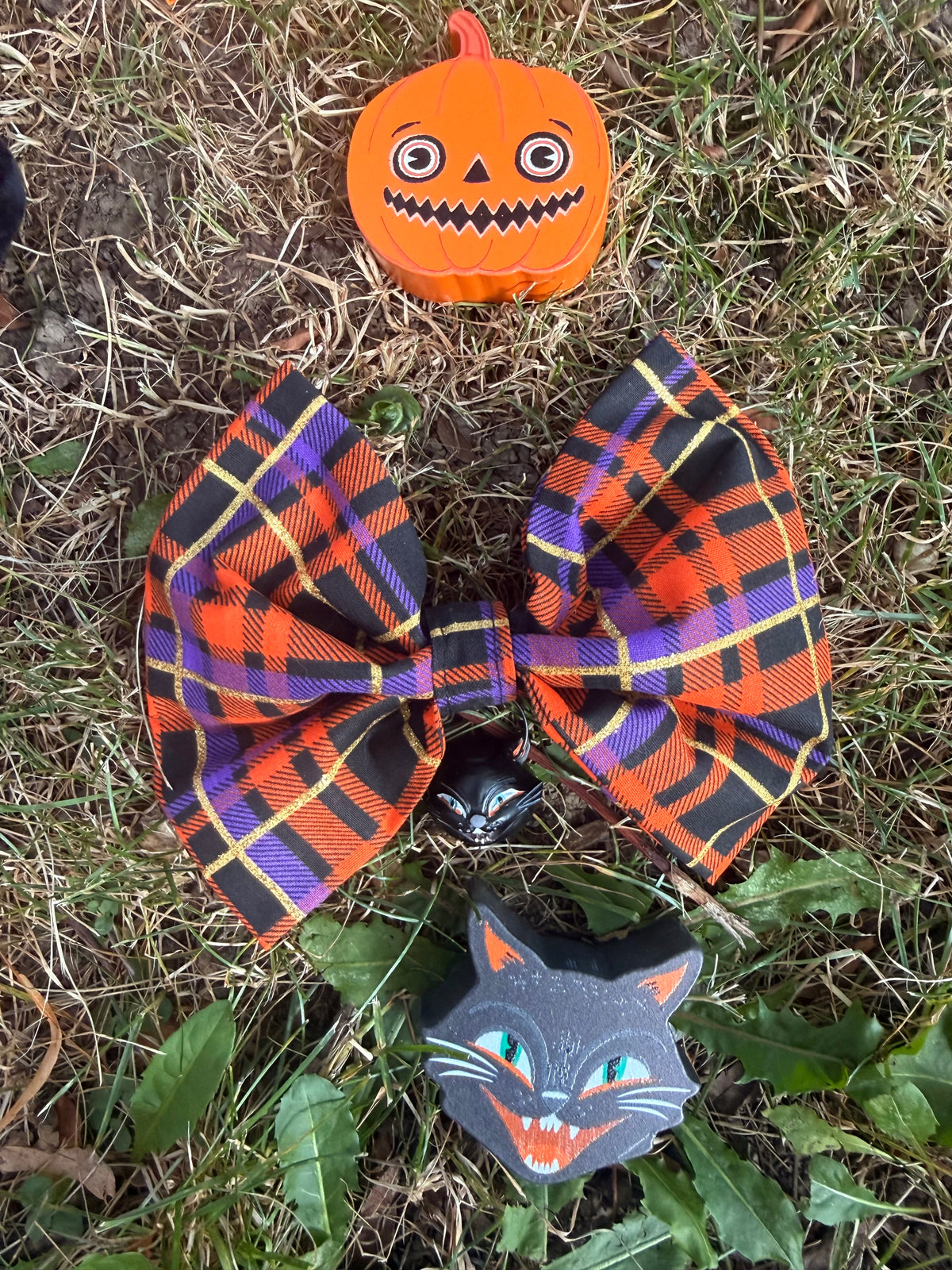Spooky Season Cat Bows 🎃