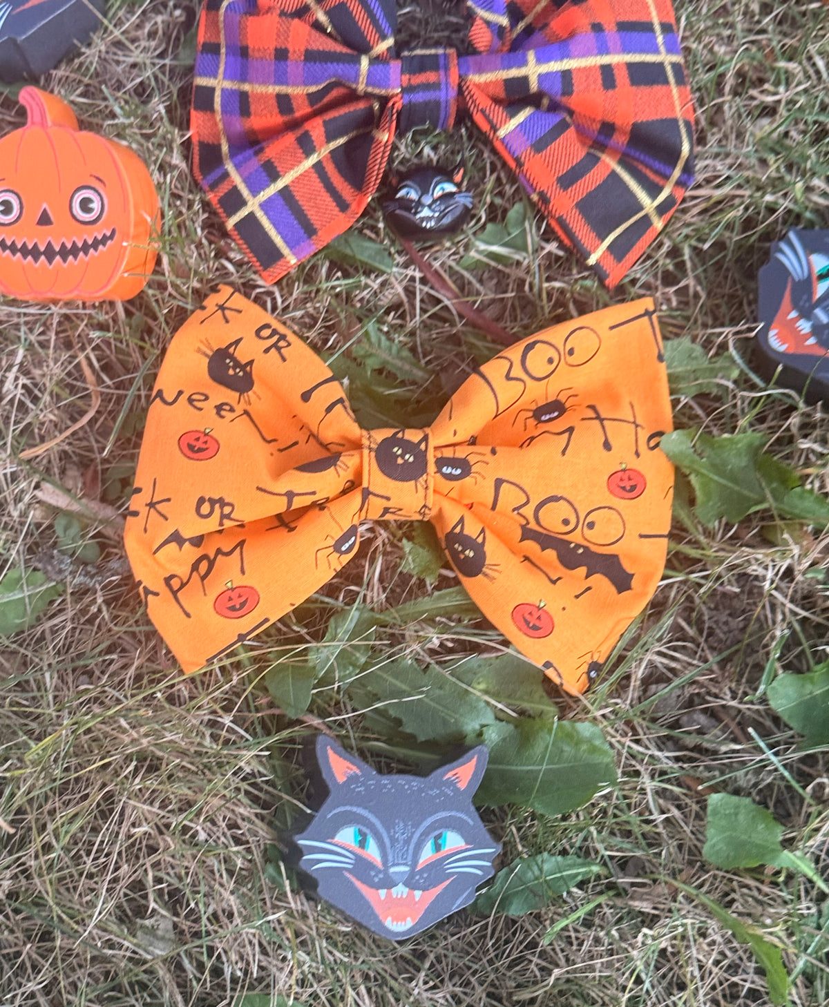 Spooky Season Cat Bows 🎃