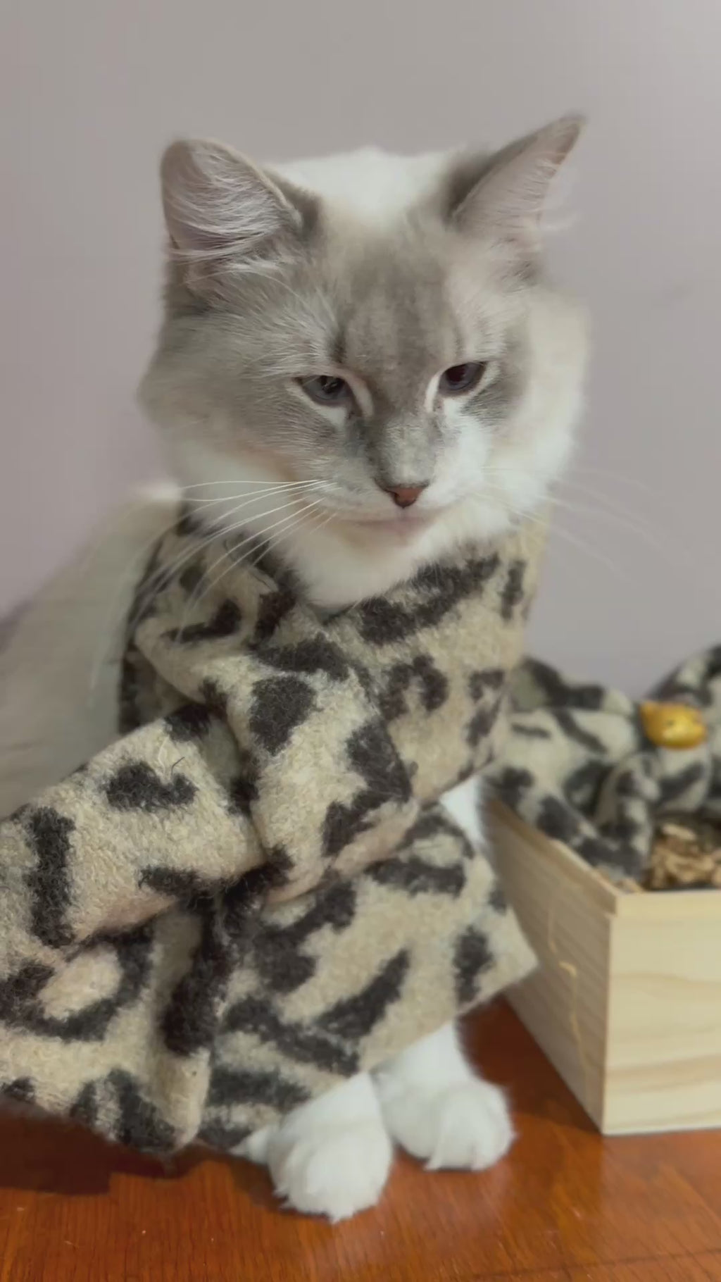 Feline Wrap Gift Box