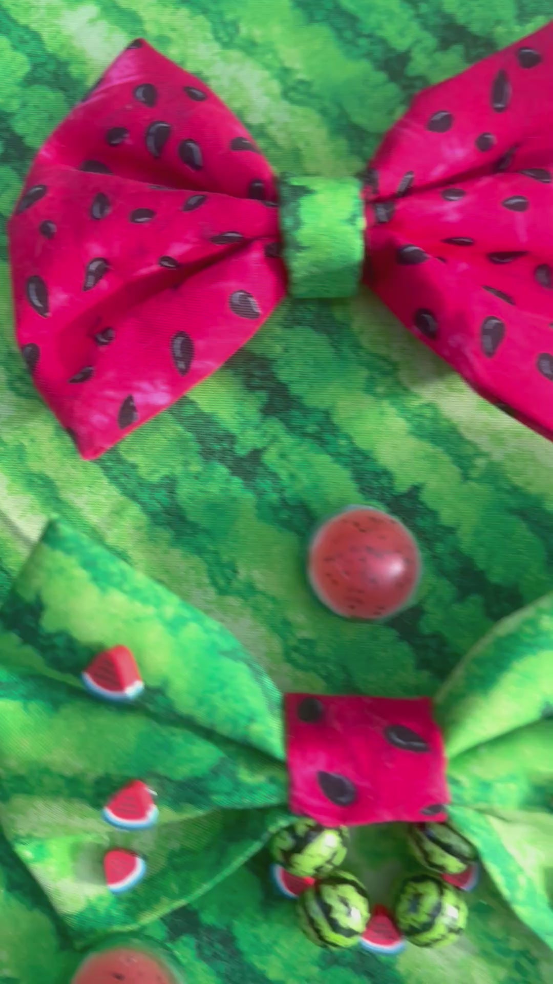 🍉 Watermelon Trio – For You & Your Pet 🐾