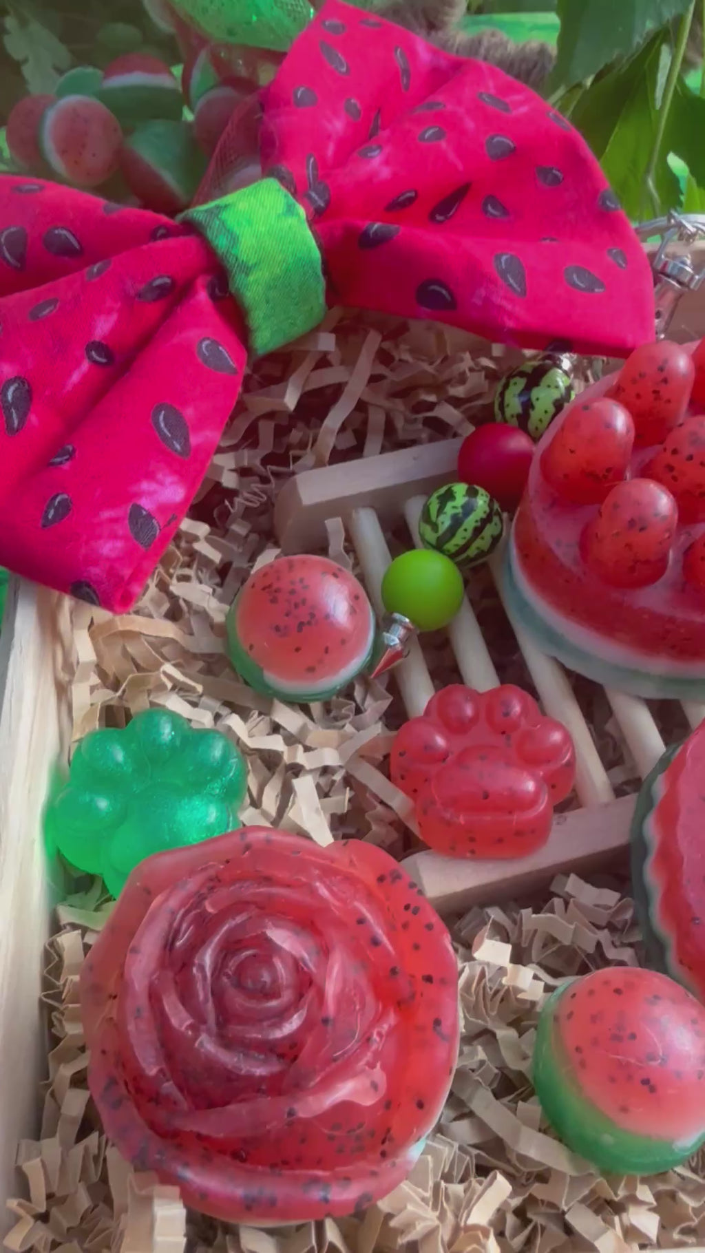 Watermelon Bundle – For You & Your Pet