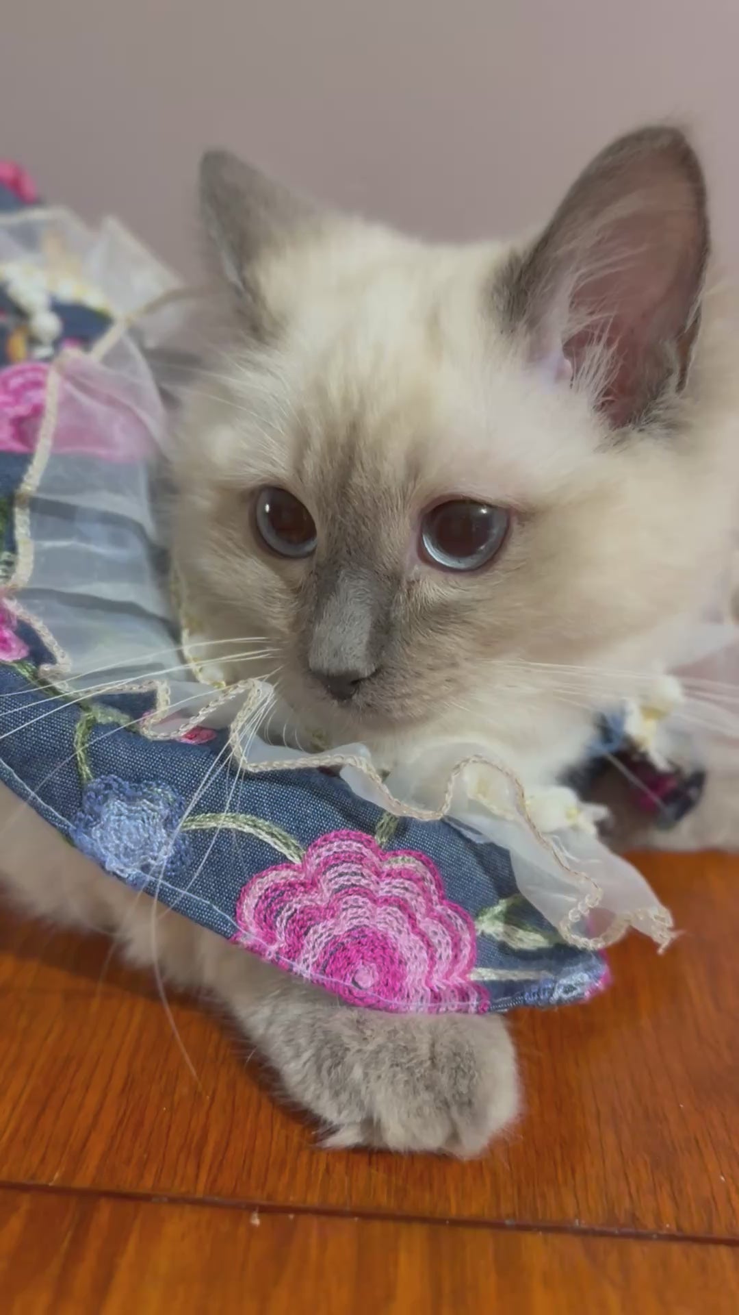 Floral Enbroidered Denim Dress for cats & dogs