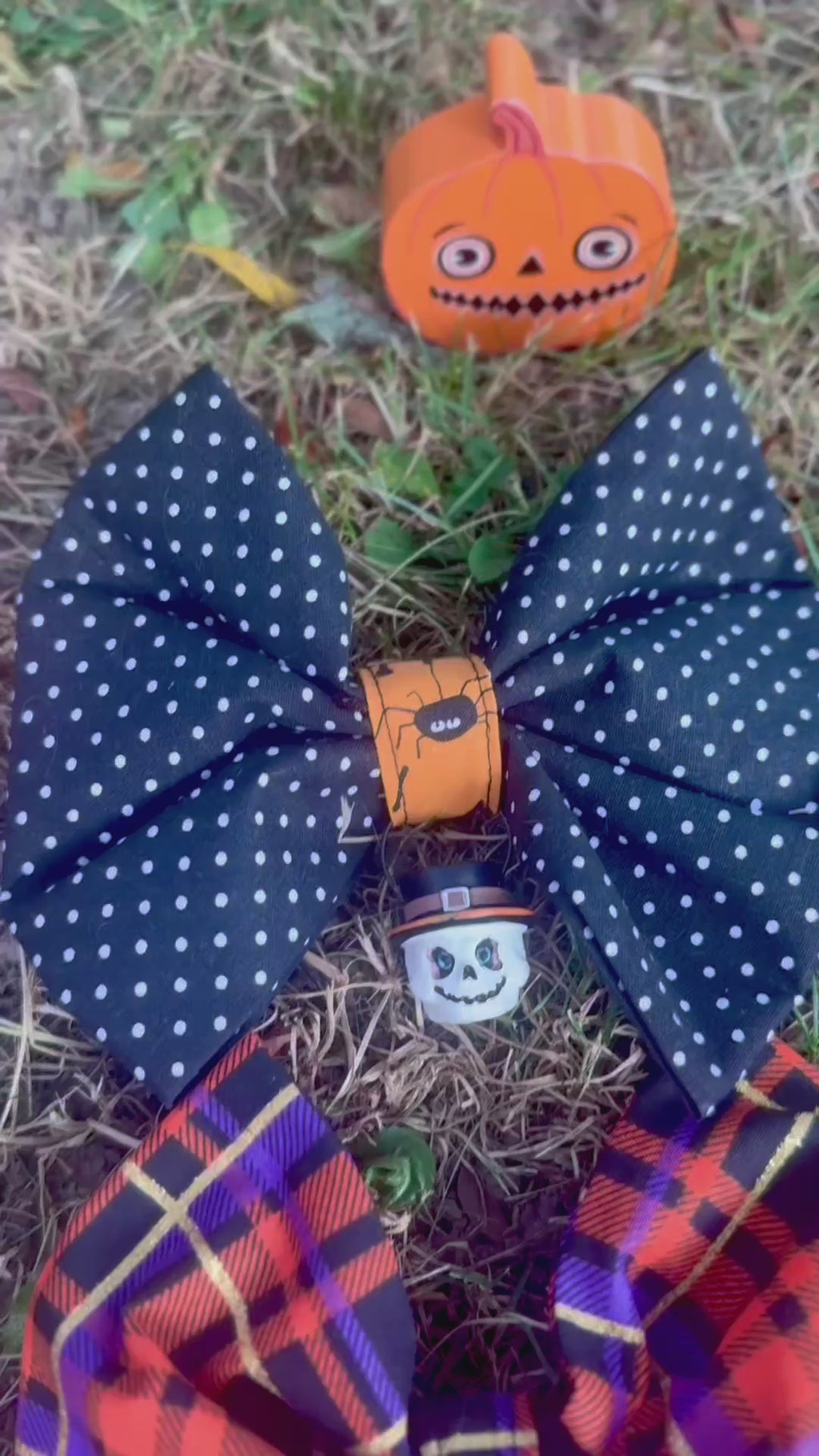 Spooky Season Cat Bows 🎃