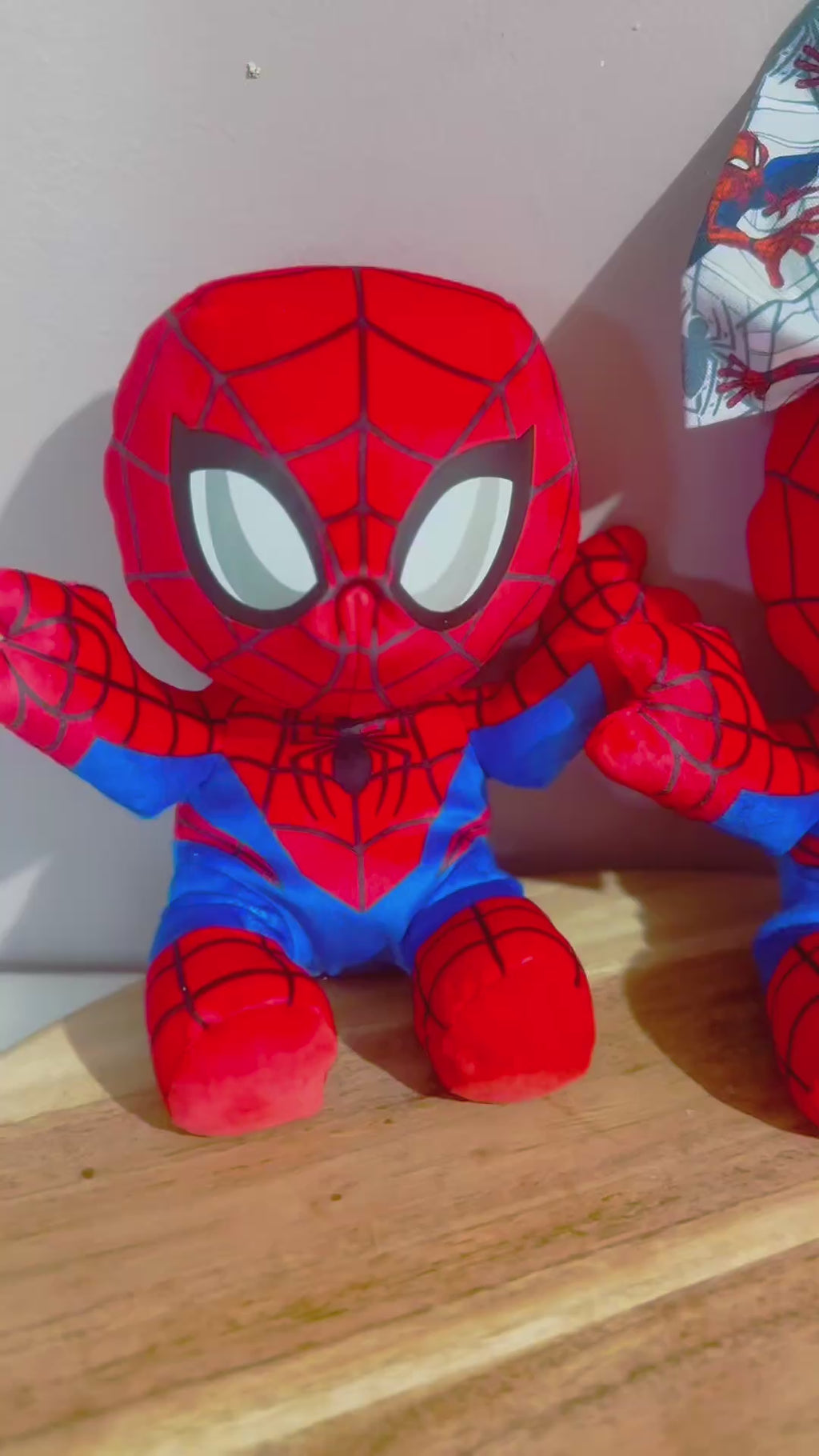 Spider Essential Set
